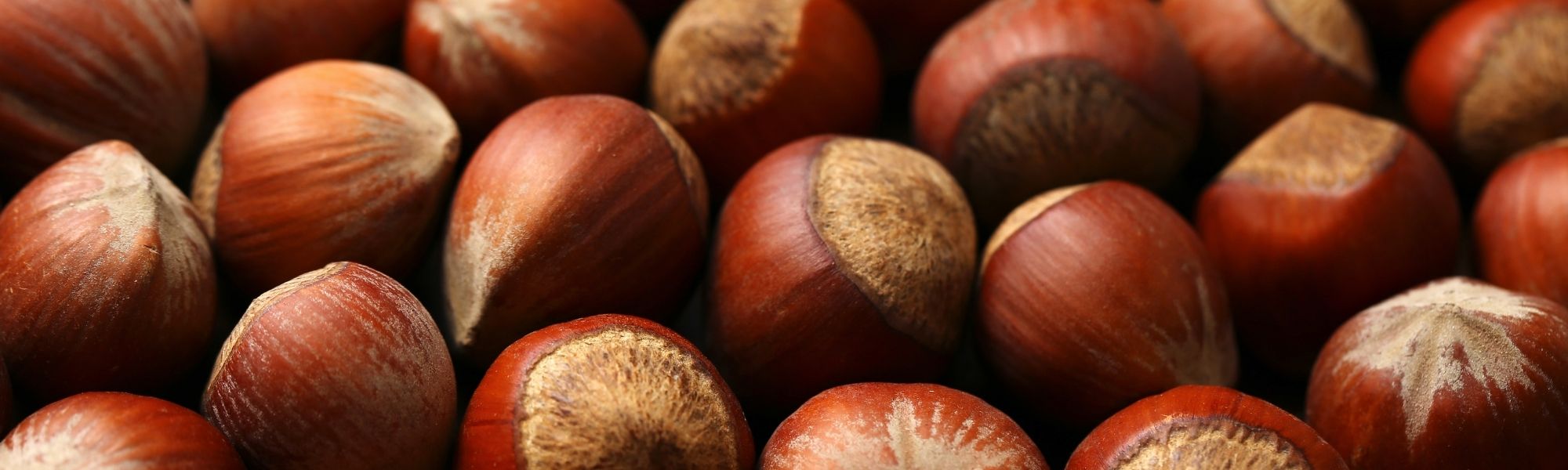 {{ block.settings.heading }}